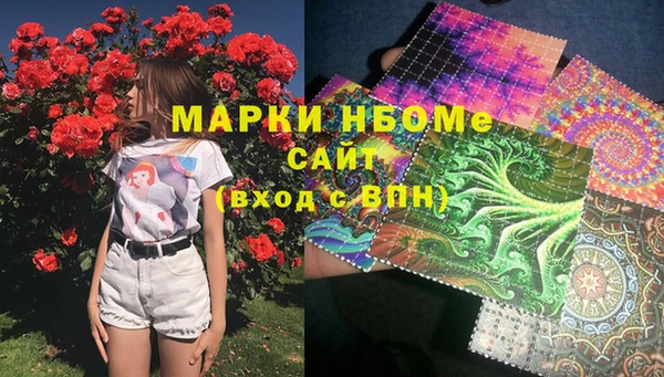 мдпв Богородск