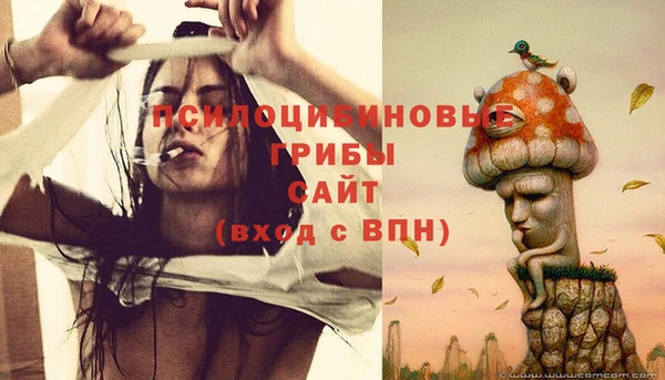 дживик Богородицк