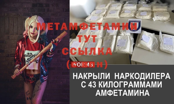 дживик Богородицк