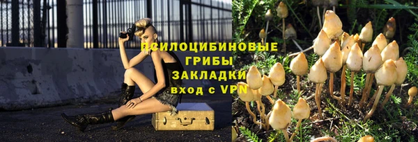 не бодяженный Белокуриха