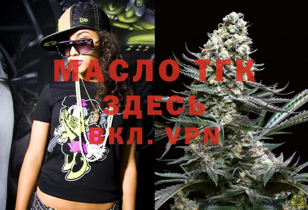 дживик Богородицк