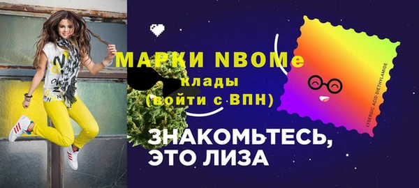 дживик Богородицк